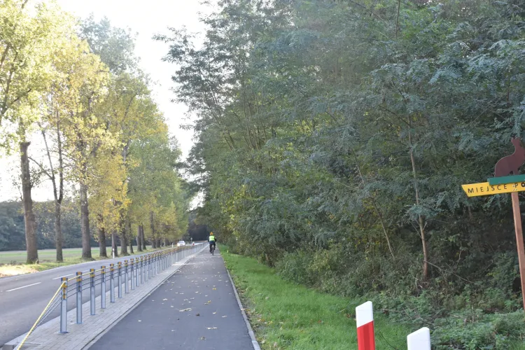 Droga rowerowa w powiecie grodziskim