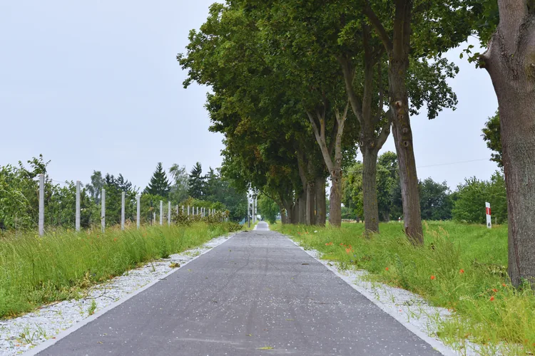 Nowa droga dla rower&oacute;w na odcinku Krzywiń &ndash; Jerka