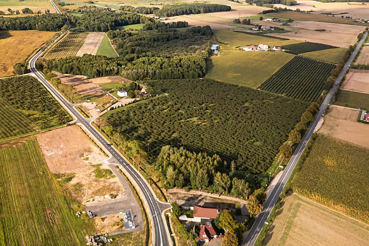 Rozbudowana droga wojewódzka nr 116 w Gminie Pniewy